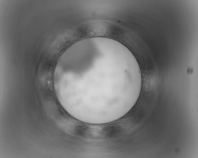 X0000111850701200909031727