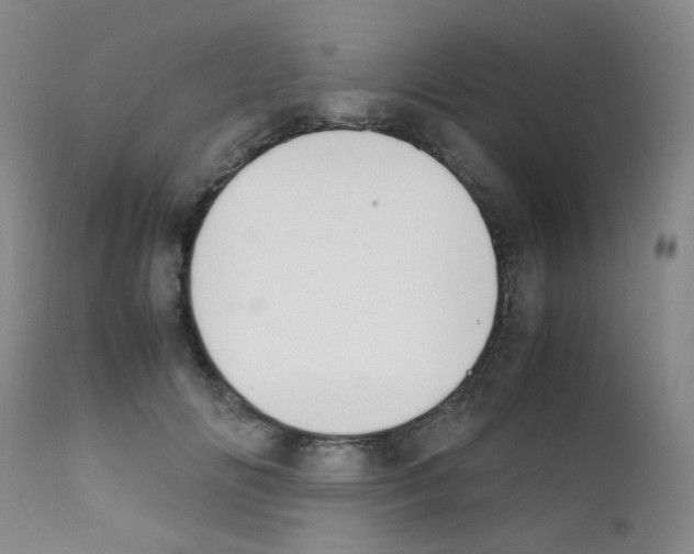 X0000111850702200909031727