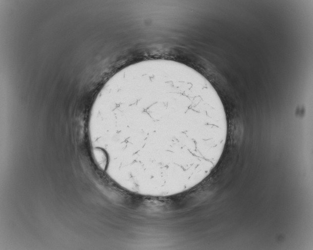 X0000111850703200909031727