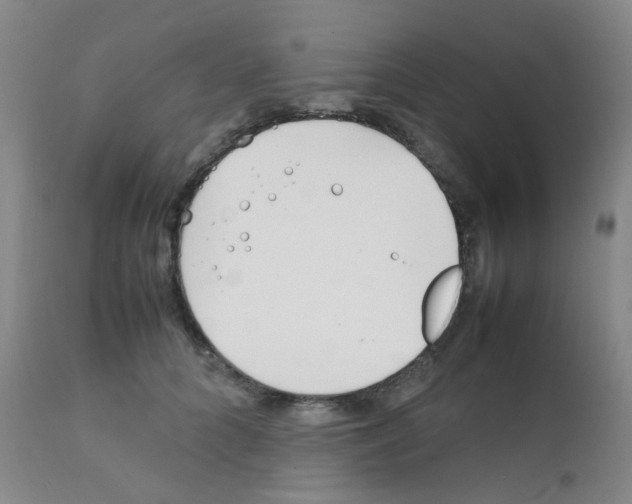 X0000111850704200909031727