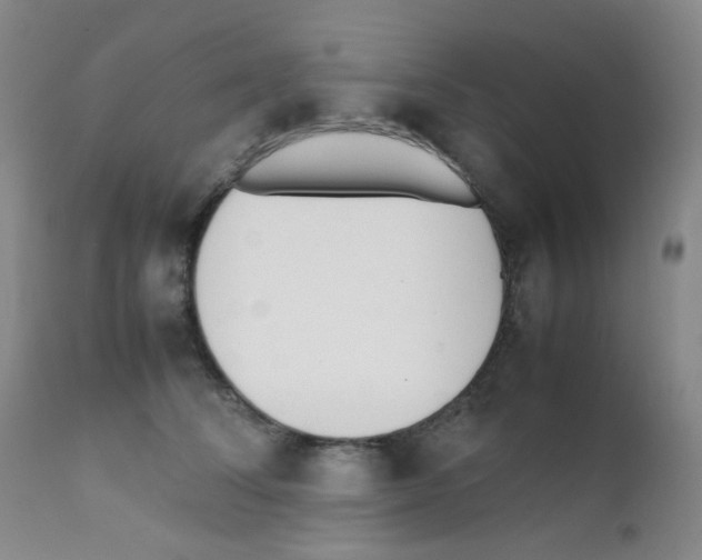 X0000111850708200909031727