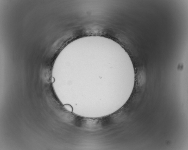 X0000111850709200909031727
