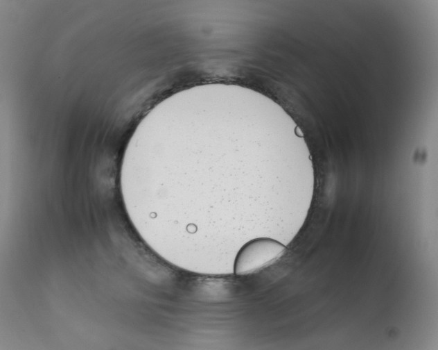 X0000111850710200909031727