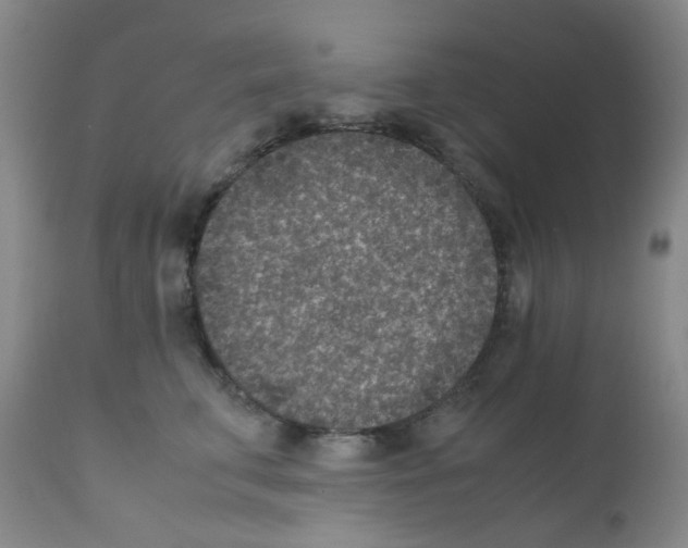 X0000111850711200909031727