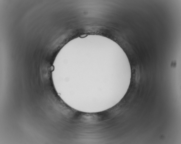 X0000111850712200909031727
