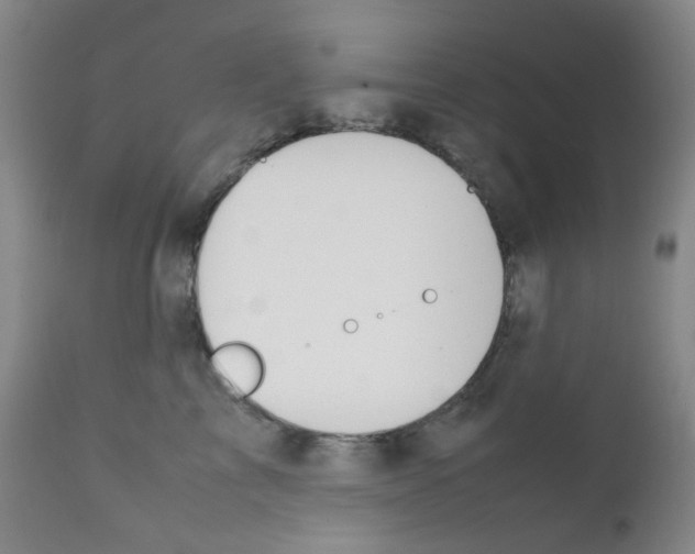 X0000111850713200909031727
