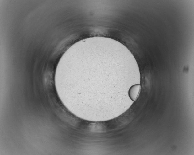 X0000111850714200909031727