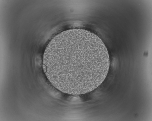 X0000111850715200909031727