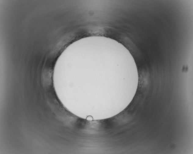 X0000111850717200909031727