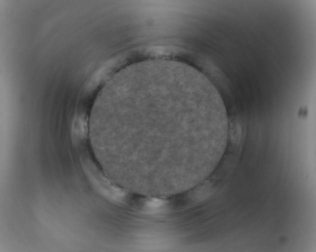 X0000111850718200909031727