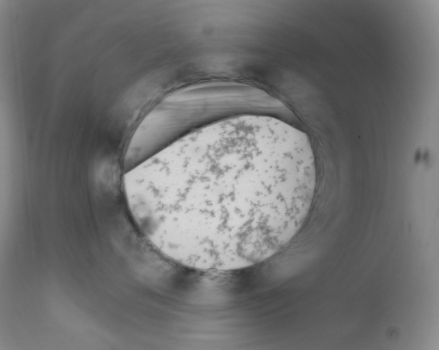 X0000111850720200909031727