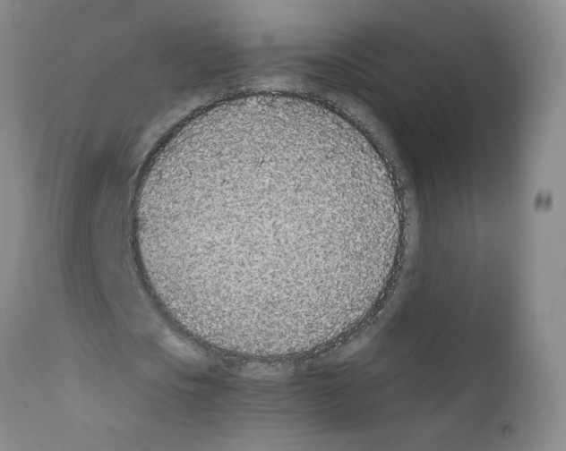 X0000111850721200909031726