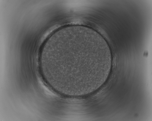X0000111850722200909031726