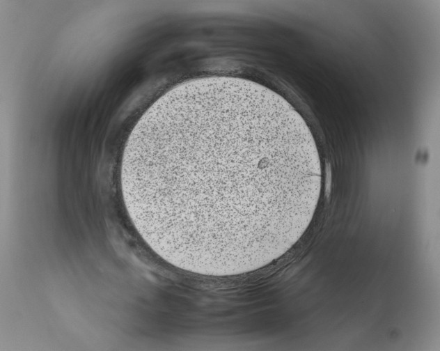 X0000111850723200909031726