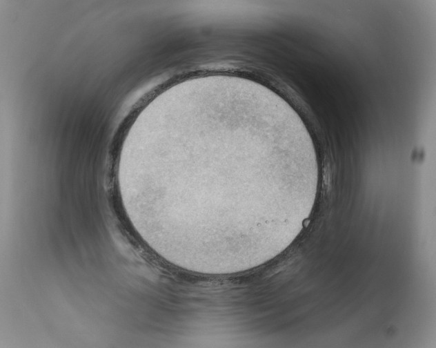 X0000111850724200909031726