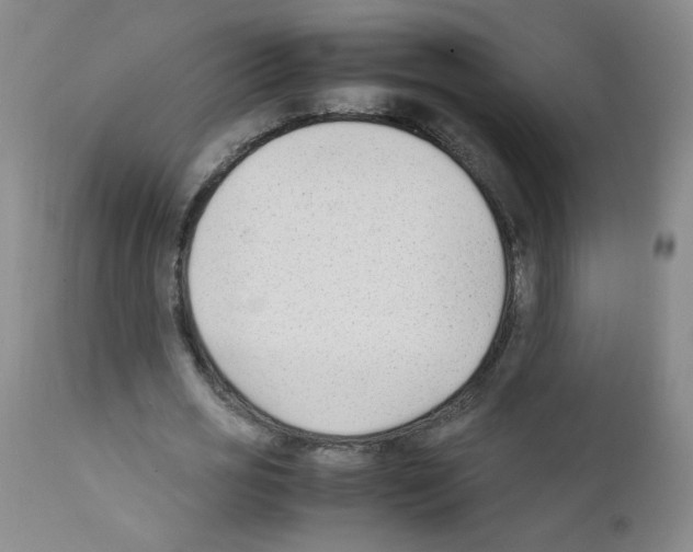 X0000111850725200909031726