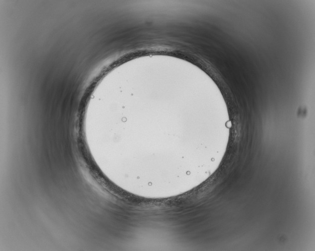 X0000111850726200909031726