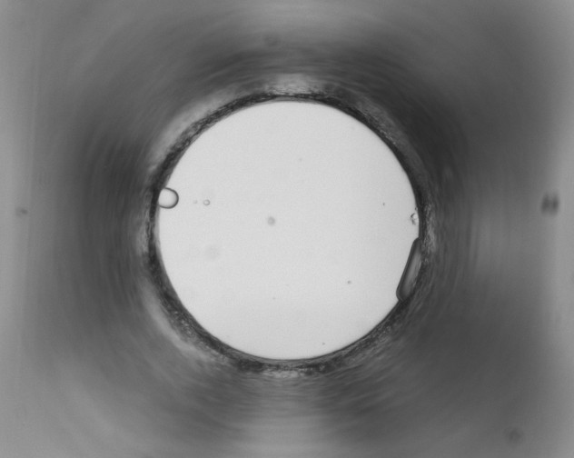 X0000111850728200909031726