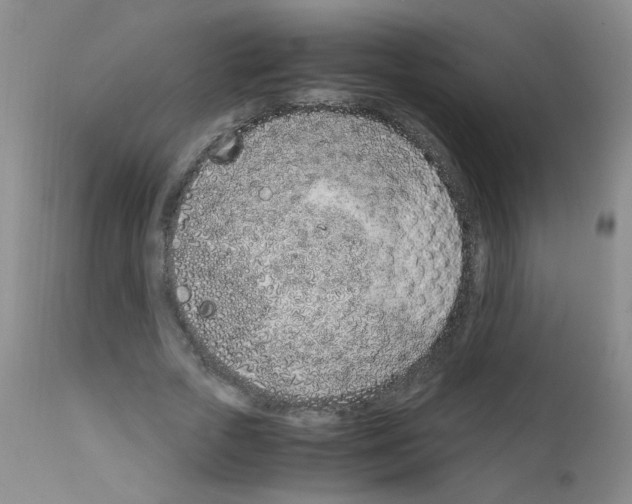X0000111850729200909031726