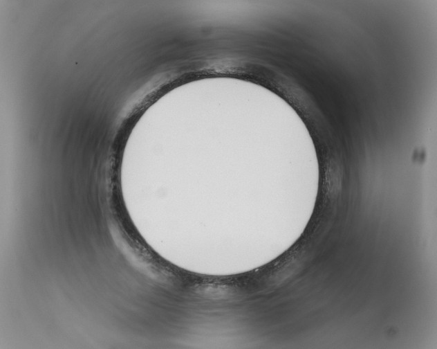 X0000111850730200909031726