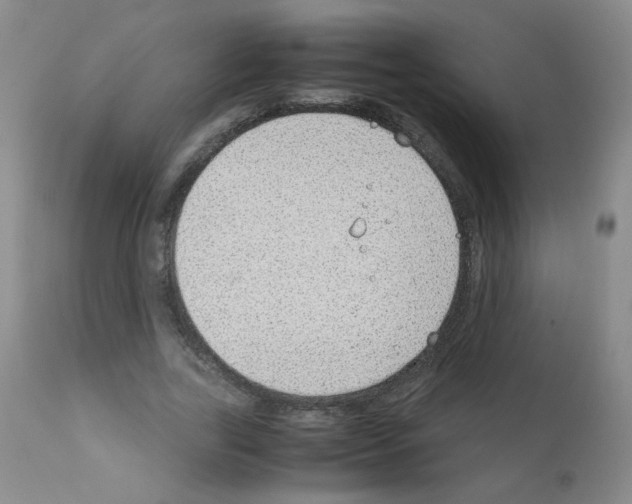 X0000111850731200909031726