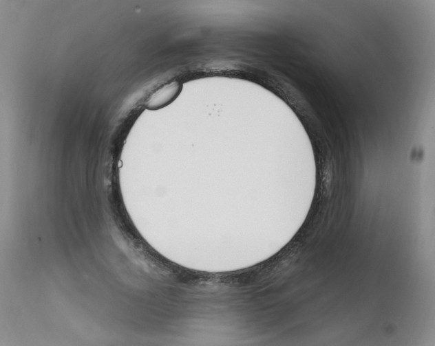 X0000111850732200909031726