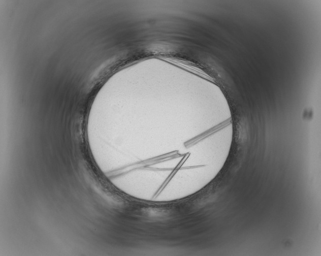 X0000111850733200909031726