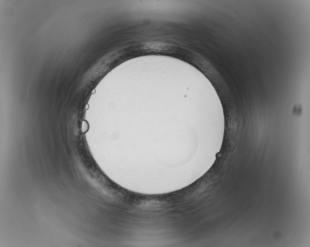X0000111850734200909031726