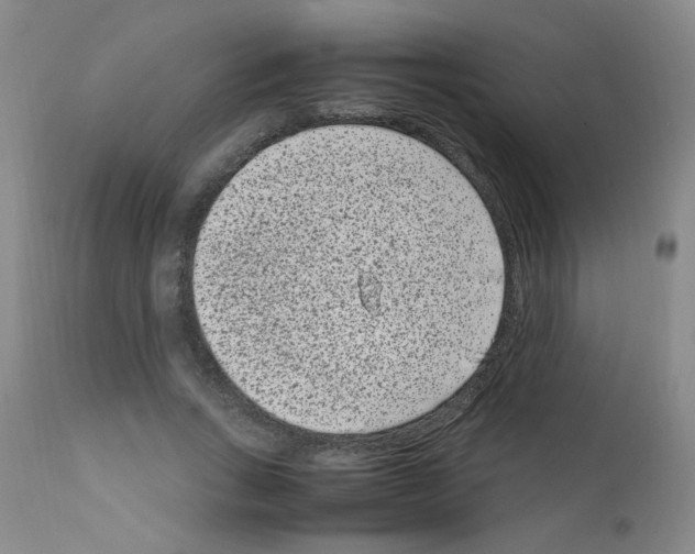 X0000111850735200909031726