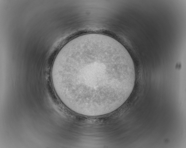 X0000111850736200909031726