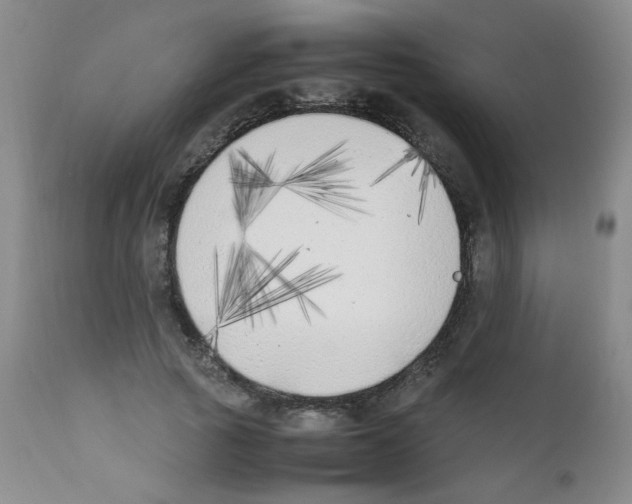 X0000111850737200909031726