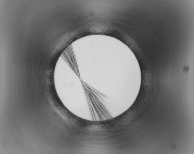 X0000111850738200909031726