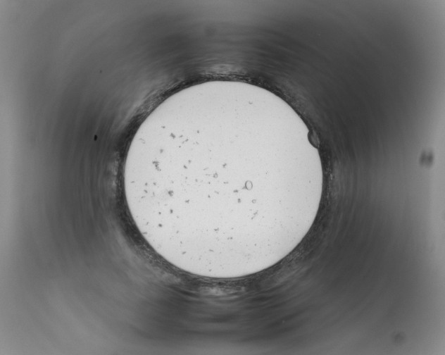 X0000111850739200909031726