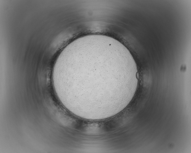 X0000111850740200909031727