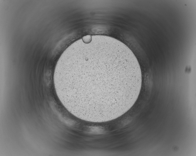 X0000111850741200909031727