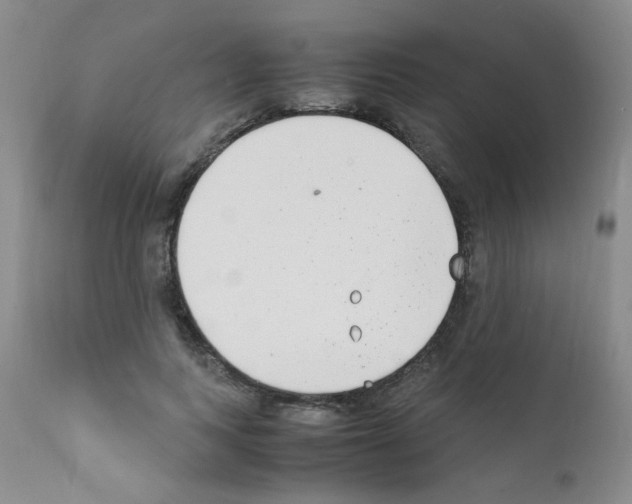X0000111850743200909031727