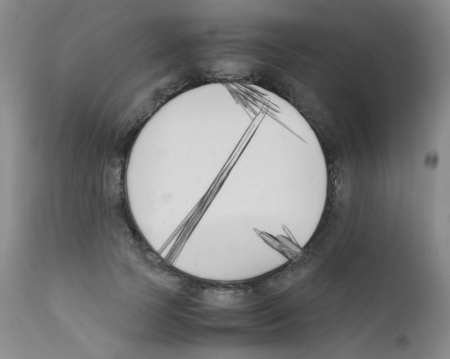 X0000111850745200909031727