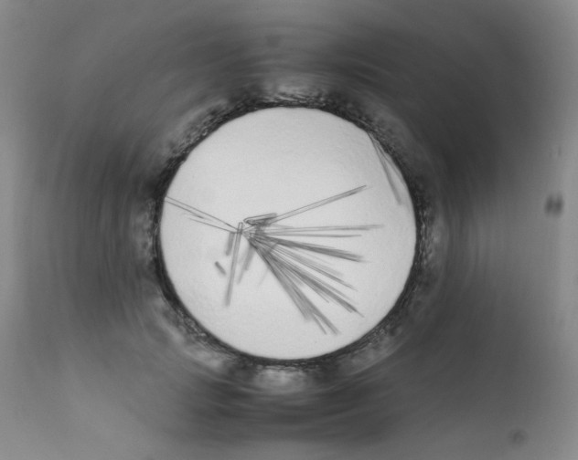 X0000111850749200909031727