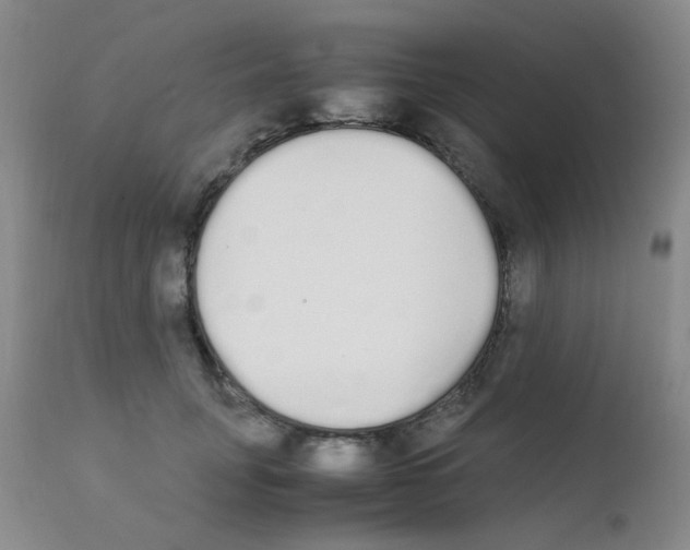 X0000111850751200909031727