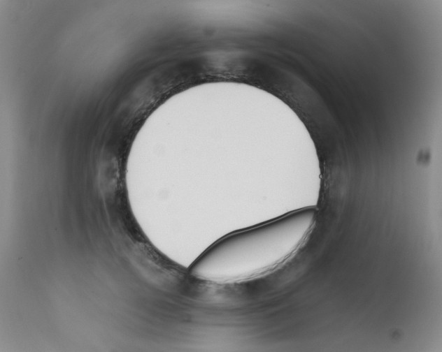X0000111850752200909031727