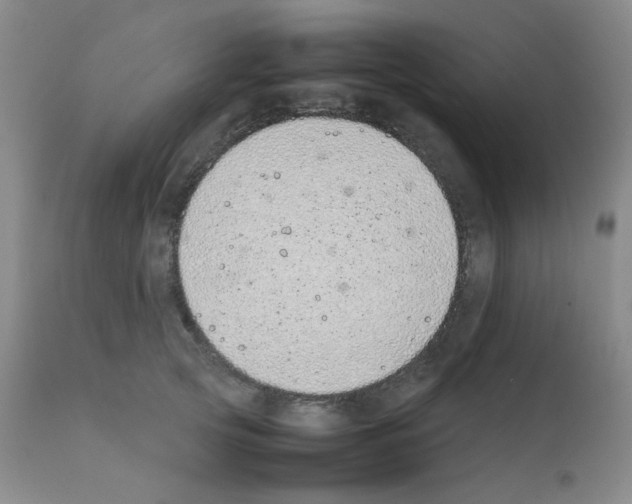 X0000111850753200909031727