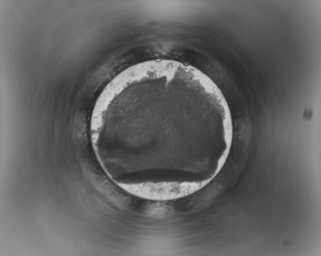 X0000111850754200909031727