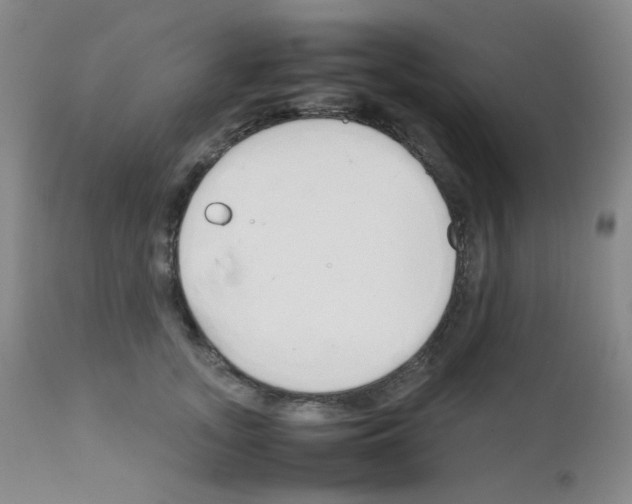 X0000111850755200909031727