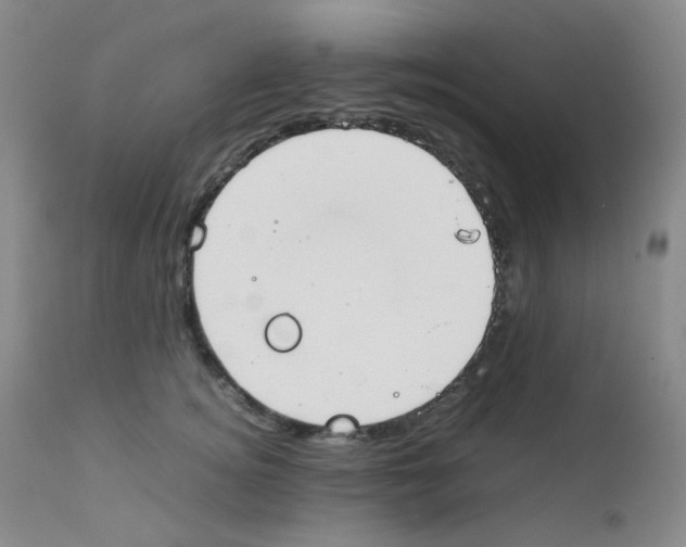 X0000111850756200909031727