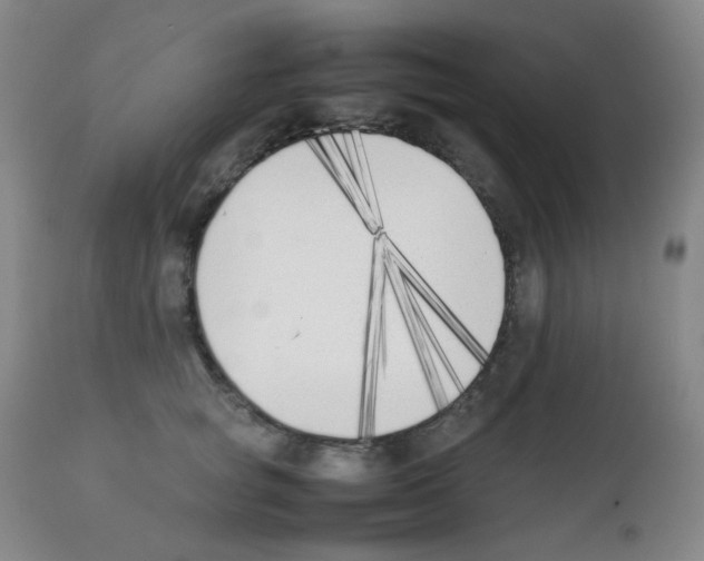 X0000111850757200909031727