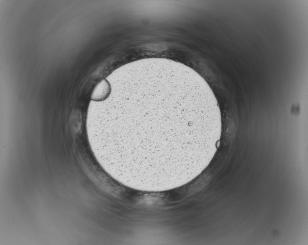 X0000111850758200909031727