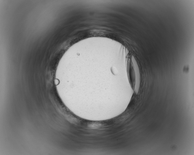 X0000111850759200909031727