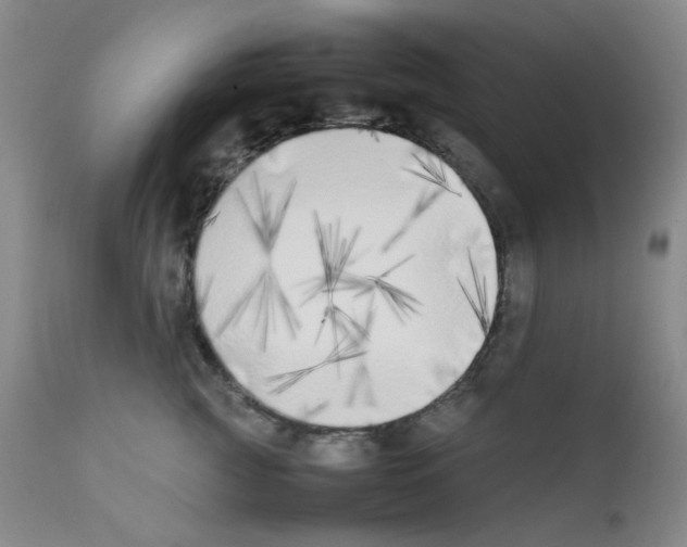 X0000111850761200909031727