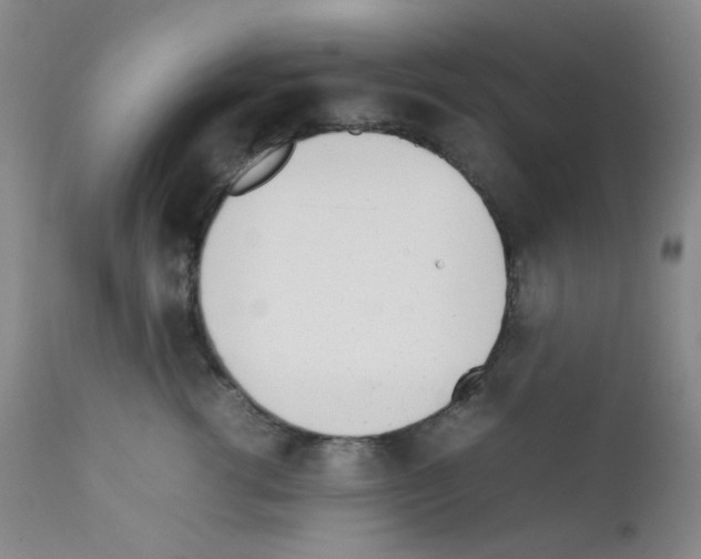 X0000111850762200909031727