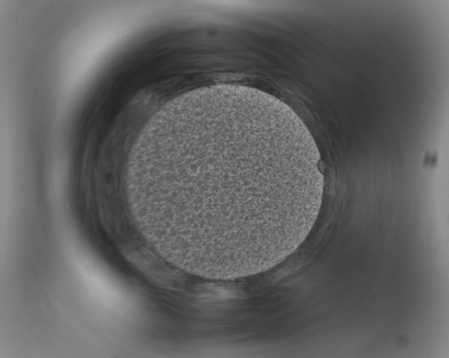 X0000111850763200909031727